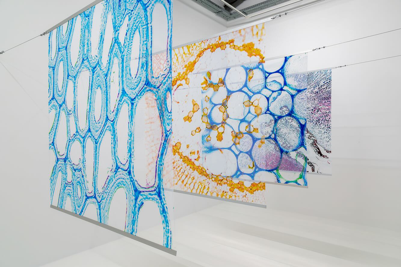 Mehdi-Georges Lahlou | Conference of the Palm Trees - 2023